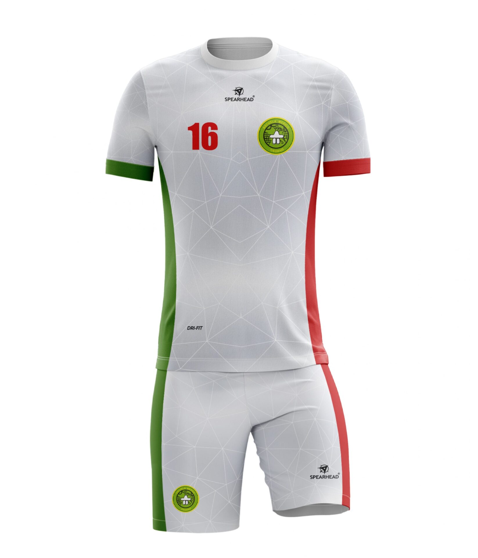 Handball hombres Esc. México Osorno
