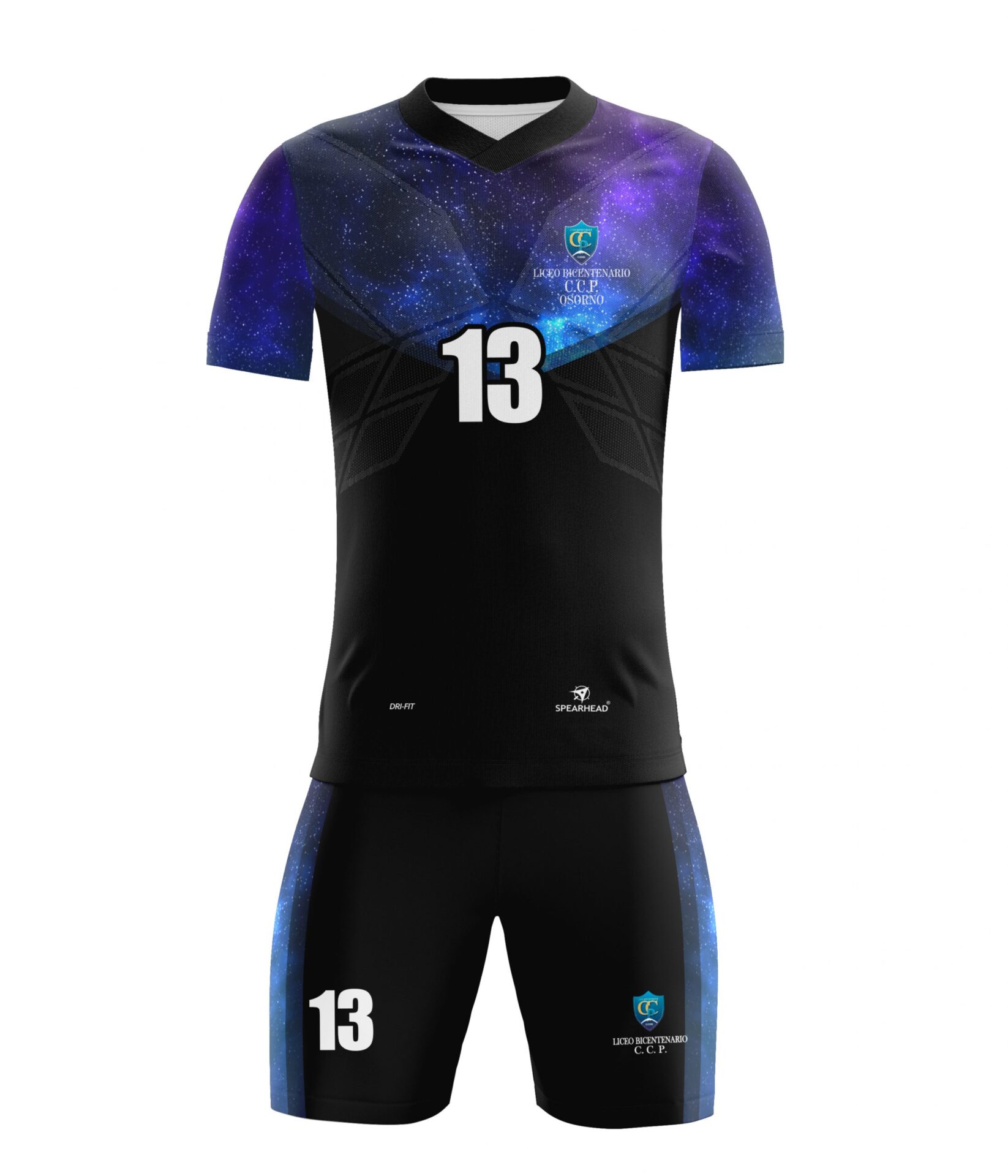 Selección Handball hombres Liceo Bicentenario C.C.P. Osorno