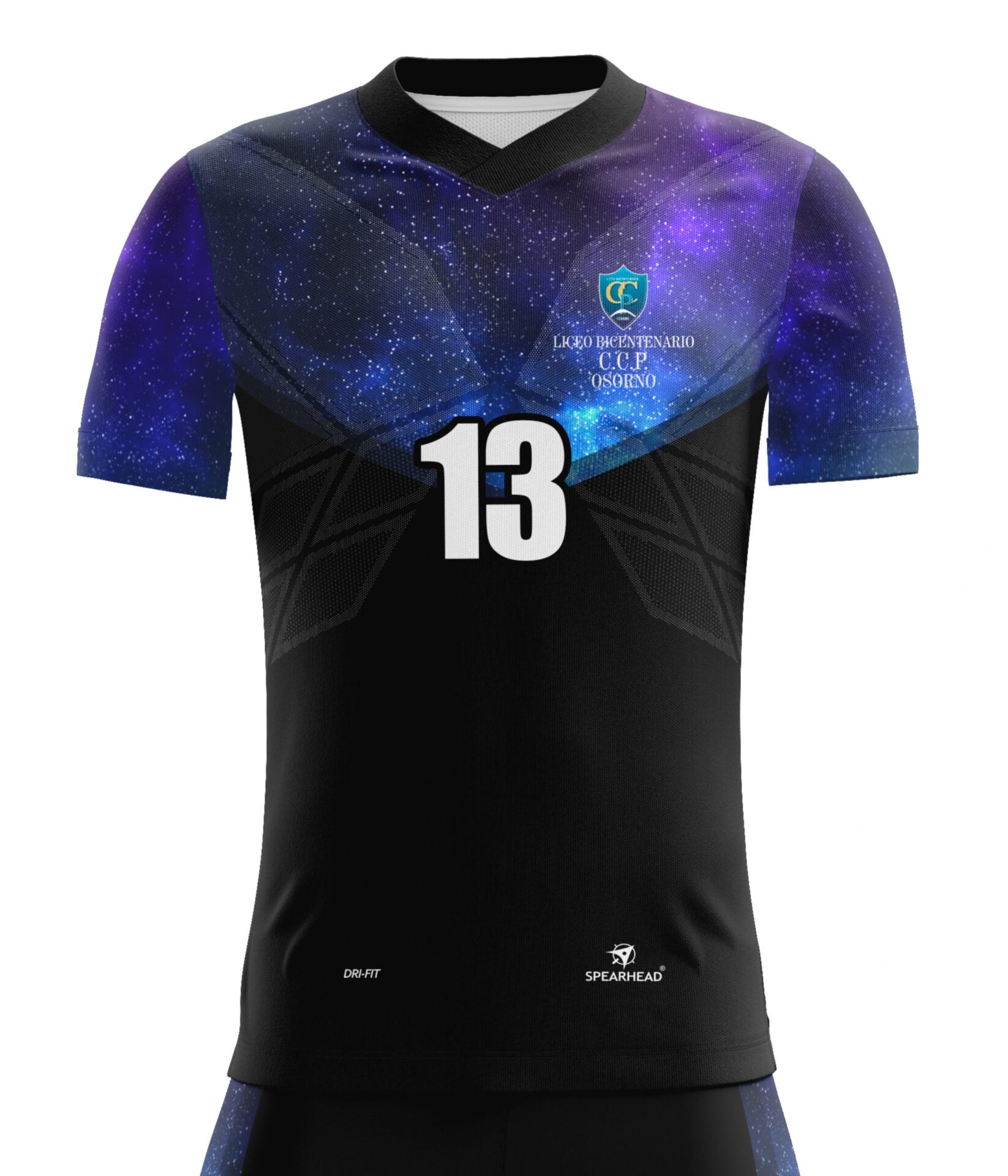 Selección Handball hombres Liceo Bicentenario C.C.P. Osorno