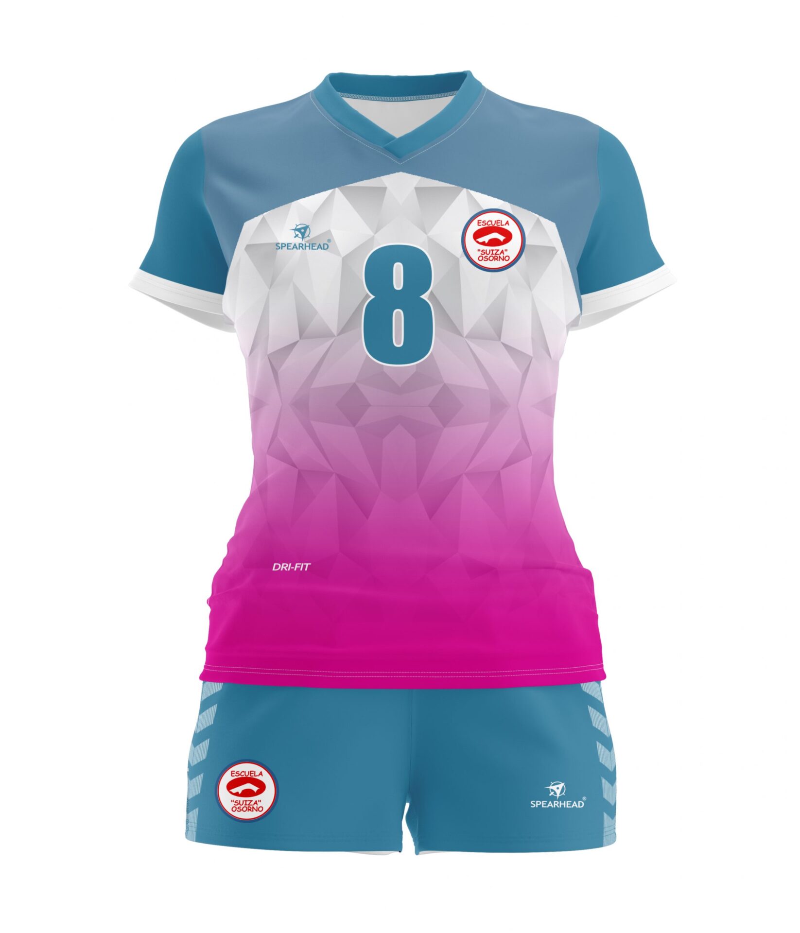Equipo Voleibol mujeres Esc. Suiza Osorno
