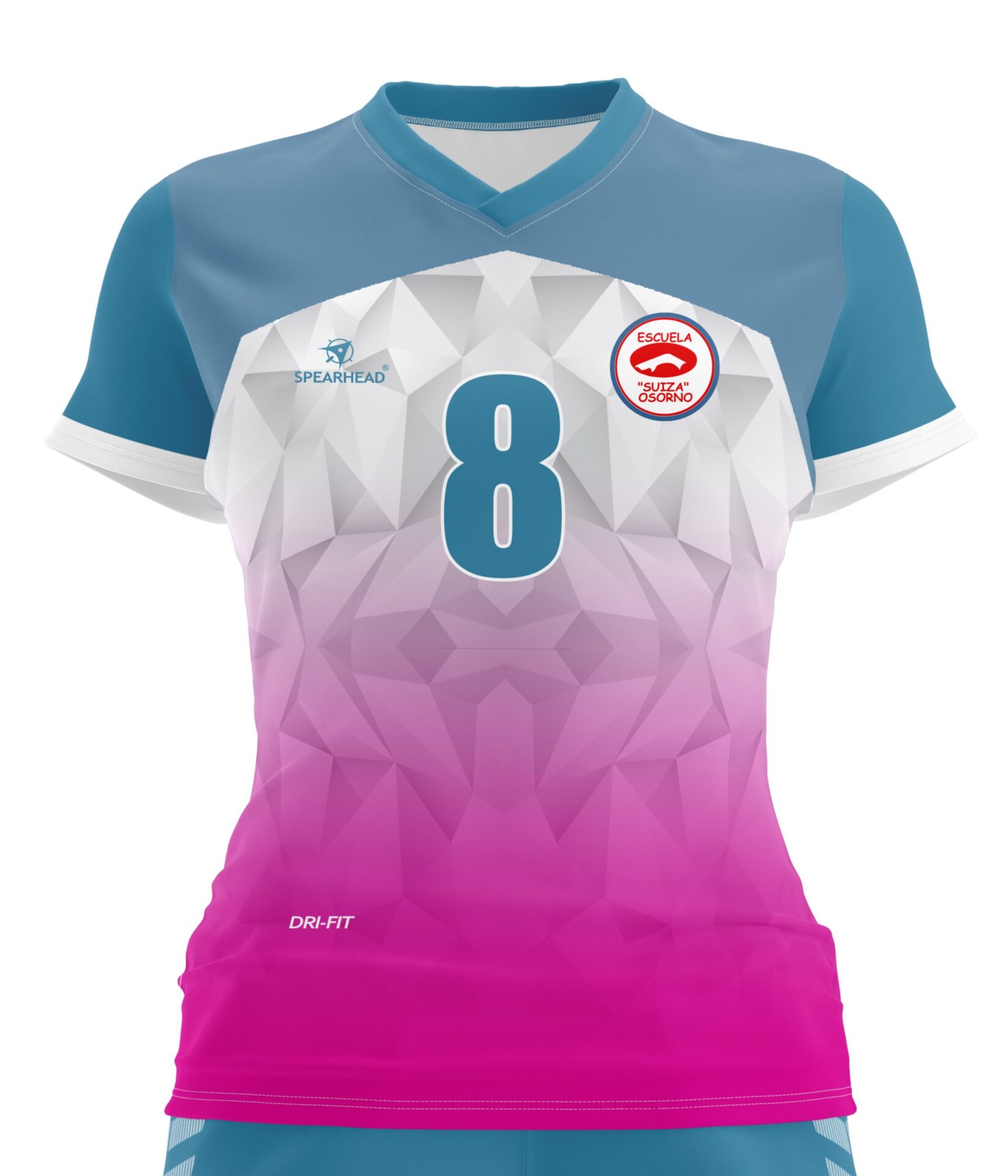 Equipo Voleibol mujeres Esc. Suiza Osorno